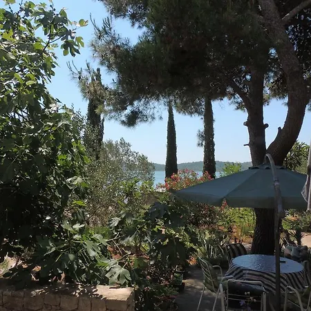Pika
